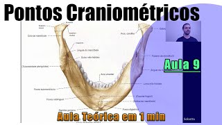 Pontos Craniométricos  Parte 9  Teórica  Anatomia Humana [upl. by Semadar]