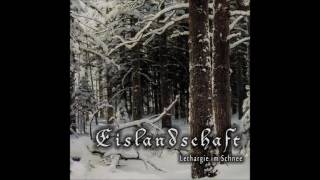 Eislandschaft  Lethargie im Schnee 2016 Winter Synth [upl. by Ettenig]