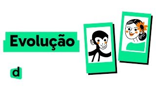 RESUMO SOBRE EVOLUÇÃO  QUER QUE DESENHE  DESCOMPLICA [upl. by Dinah]