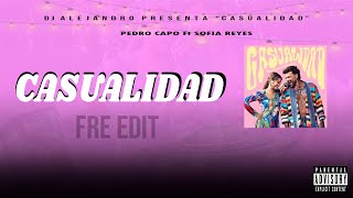 92 CASUALIDAD  SOFIA REYES Ft PEDRO CAPO  Clean Melody  DEEJAY ALEJANDRO [upl. by Nosak]