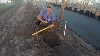 Watermelon Pro Tips Preparing permanent watermelon beds before laying down ground covering [upl. by Adnilab347]