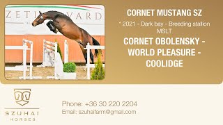 CORNET OBOLENSKY x WORLD PLEAASURE 2021 LICENSED BREEDING STALLION HORSE FOR SALE [upl. by Delila645]