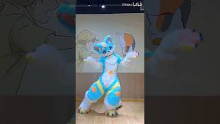 【Fursuit Dance】可可Kitai  AOA LIKE A CAT [upl. by Hazem]