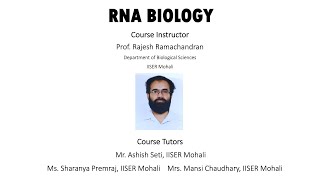 Mechanisms of RNA Decay and Non Coding RNAs mRNA Surveillance [upl. by Nnylecoj149]