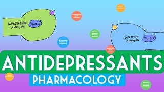 Antidepressants Pharmacology  Soton Brain Hub [upl. by Amity]