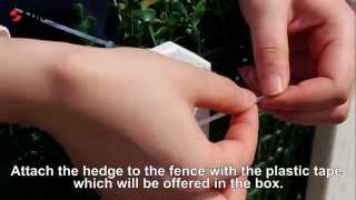 How To Install Artificial Hedges Boxwood Hedge [upl. by Felicio]