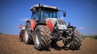 Steyr 9105 MT Maislegen GoPro [upl. by Aissat]