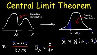 Central Limit Theorem  Sampling Distribution of Sample Means  Stats amp Probability [upl. by Auoy693]