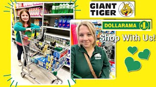 Giant Tiger amp Dollarama Grocery Haul Shopping For Deals [upl. by Allanson]