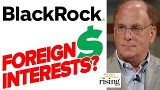 Is BlackRock CEO Larry Fink The Most POWERFUL Man In The World [upl. by Platto]