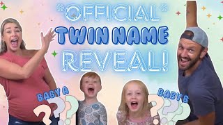 Twin Pregnancy Journey We FINALLY Picked Names for Our Twins 🎉🎉 babynames twins pregnancy [upl. by Ettena]