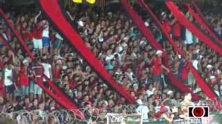 YO SOY DEL NEGRO Y NO PIENSO EN LAS ESTRELLAS  Colón 1 Boca Jrs 1 [upl. by Ulises675]