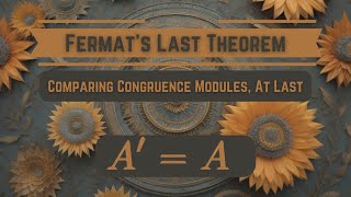 Fermats Last Theorem FINALLY Proving Proposition 4 on Congruence Modules 1114 165 [upl. by Akemahc]