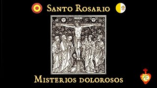 🇻🇦🇪🇸 Misterios dolorosos Versión lenta para el aprendizaje Santo Rosario Latín y español [upl. by Ynaoj]