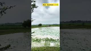 Bastar song … travelsong music nature love live bastar vlogsong youtubemusic youtubesong [upl. by Gnouh89]