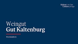 Weingut Kaltern  Gut Kaltenburg [upl. by Lotsirb802]