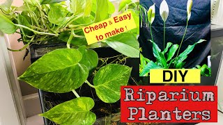 🪴🐠How to DIY Riparium planters for Small and LARGE fish Tanks 🐠🪴 [upl. by Hanikas]