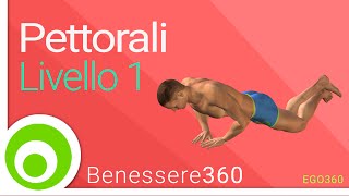 Allenamento pettorali livello 1 Esercizi base a casa senza attrezzi [upl. by Hjerpe111]