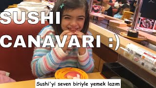 Sushi Canavarıyla Sushi Nasıl Yenir 2  Full Version [upl. by Egarton]