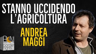 STANNO UCCIDENDO LAGRICOLTURA IL CASO DEI PANNELLI IN RISAIA  ANDREA MAGGI [upl. by Otiv]