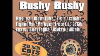 Frisco Kid  Lion Paw Bushy Bushy Riddim 2001 [upl. by Carla588]