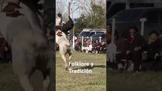 le tiró de a puñau horse jinetes [upl. by Rosenblatt826]