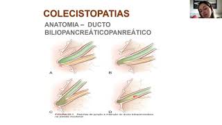 Colecistopatias Colelitíase e Colecistite [upl. by Noid489]