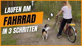 So lernt dein Hund am Fahrrad zu laufen  ohne Stress [upl. by Kennie]