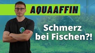 Können Fische Schmerzen spüren  AquaAffin 55 [upl. by Aveneg]