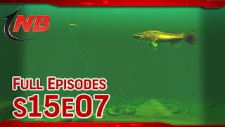 Drop Shot Walleyes  Season 15 Episode 7 [upl. by Frohne]