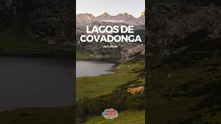 Ruta LAGOS DE COVADONGA Completa circular Enol Ercina y Bricial 🥾🏞️  Cangas Aventura [upl. by Leo]