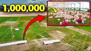 Raising Over a MILLION Chickens a Year  Pasturebird Farm Tour [upl. by Chapa]