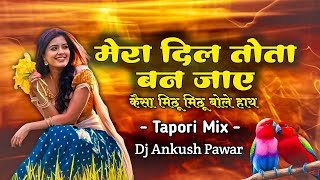 Mera Dil Tota ban Jay Tapori Mix Dj Ankush Pawar  Kaisa Mithu Mithu bole hay hindidjsong [upl. by Gambell]