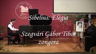 Szegvári Gábor Tibor  Sibelius Elegiaco Op 7610 [upl. by Vladi]