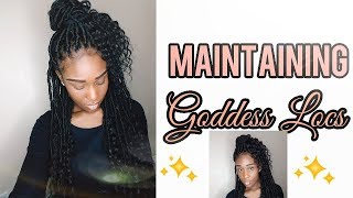 How To Maintain Your Goddess Locs  IS IT HEAVY  Shannon Marie [upl. by Eloccin247]