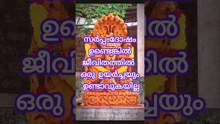 സർപ്പ ദോഷമുള്ള നക്ഷത്രങ്ങൾastrology shortsfeed shorts [upl. by Haydon]