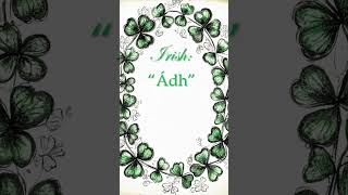 5 Easy Words in Irish irishgaelic irish languagelearning shorts [upl. by Agem]