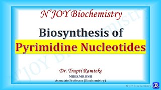 Pyrimidine Biosynthesis  Nucleotide Metabolism  Biochemistry  NJOY Biochemistry [upl. by Aliber190]