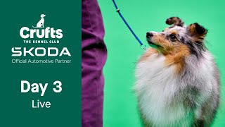 Day 3 LIVE  Crufts 2023 [upl. by Saito]