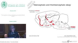 Conférence B JONES  The mysteries of sleep and waking unveiled by Michel Jouvet [upl. by Ameer]