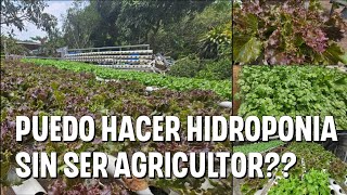 Como hacer hidroponia sin ser agricultor [upl. by Faust237]