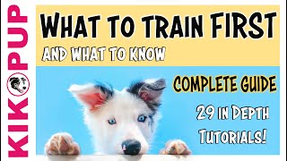 Puppy Training  What to train first [upl. by Ddet]