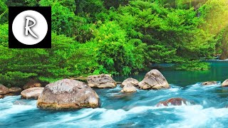 Relaxing Nature Sounds  Water Sound 24 Hours Gentle River amp Stream [upl. by Simdars342]