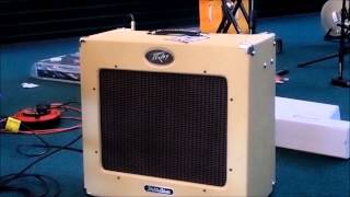 Peavey Delta Blues 115 Combo Amp [upl. by Noraj]