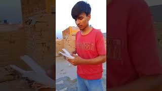 Neeve da Kabooter patte you tube channel 1kSUBSCRIBE pakistani pigeon in canadviralvideo pigeon [upl. by Ahtekahs]