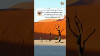 Deadvlei Namibia shorts travel deadvlei [upl. by Anyak]