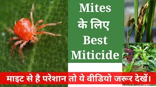 Mites Best Miticide Insecticide। [upl. by Hammock]