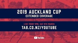 2019 Auckland Cup  LIVE [upl. by Irme364]