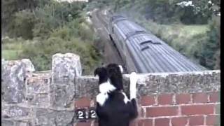 Dawlish sea wall1989 [upl. by Olen671]