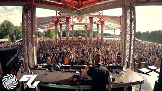 Ace Ventura set  PsyFi Festival 2017 [upl. by Branch]